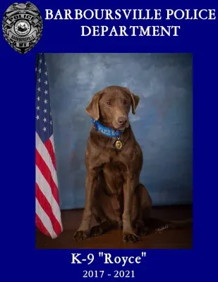 K-9 Royce
