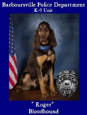 K-9 Ruger