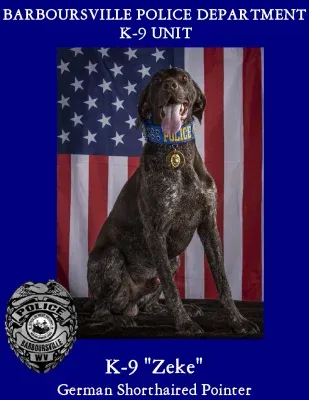 K-9 Zeke